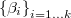  \left\{ \beta_{i}\right\} _{i=1\ldots k} 